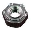 Six Projection Hex Nut